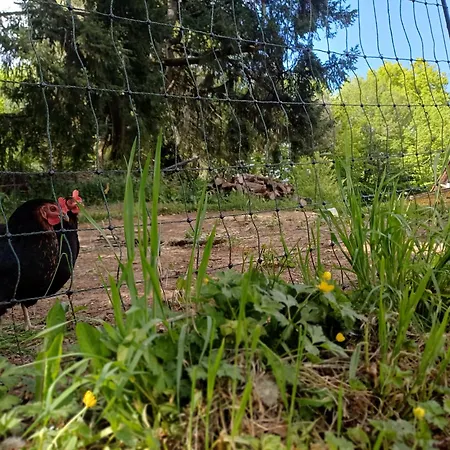 La Casa Baccata * Sarlat