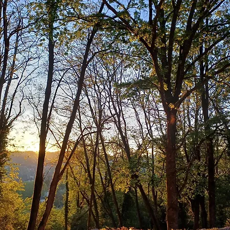 Oda ve Kahvaltı La Casa Baccata
