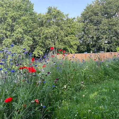 La Casa Baccata Couette-café