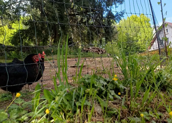 La Casa Baccata * Sarlat-la-Canéda